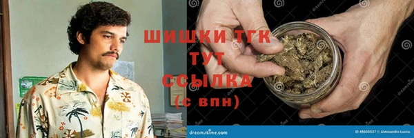 прущая мука Ельня