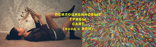 прущая мука Ельня