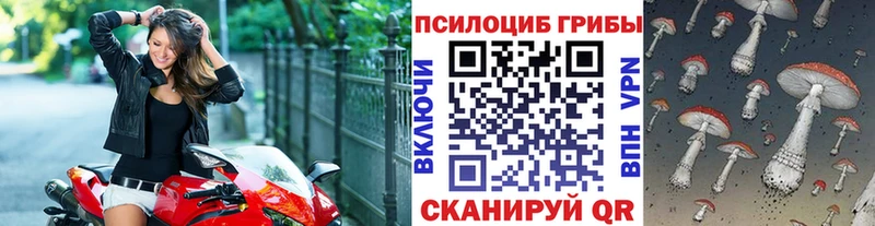 Купить закладки Каргат Псилоцибиновые грибы Magic Shrooms